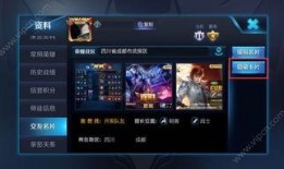 王者网友爆料视频下载