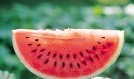 痛经音乐娱乐吃瓜酱,缓解疼痛的趣味疗法